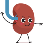 You only need one kidney